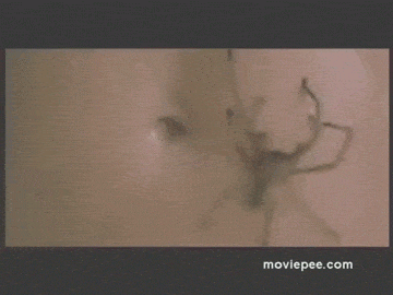 peliculas de terror peliculas de terror